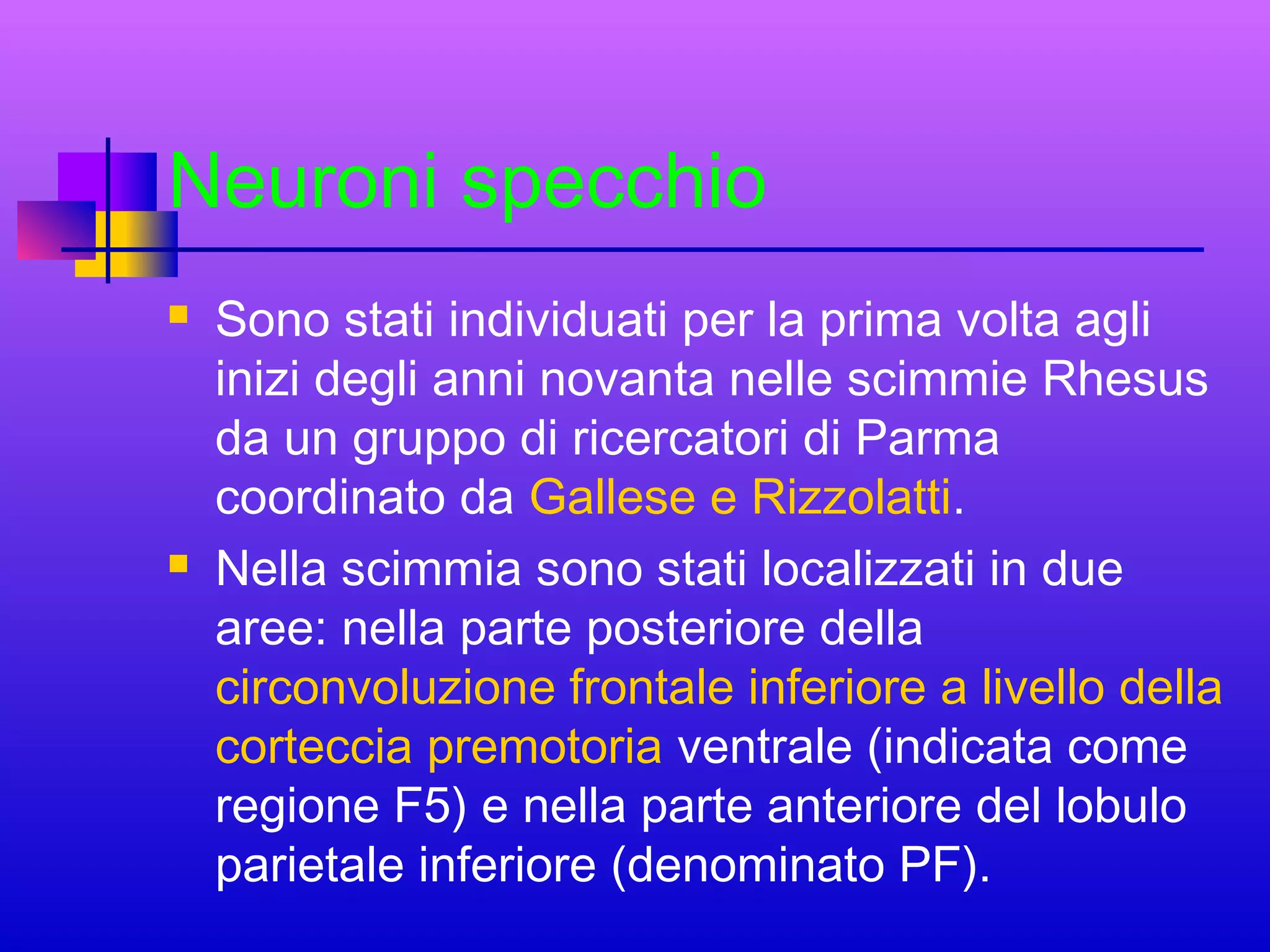 Neuroni specchio




Sono stati individuati per la prima volta agli
inizi degli anni novanta nelle scimmie Rhesus
da un gruppo di ricercatori di Parma
coordinato da Gallese e Rizzolatti.
Nella scimmia sono stati localizzati in due
aree: nella parte posteriore della
circonvoluzione frontale inferiore a livello della
corteccia premotoria ventrale (indicata come
regione F5) e nella parte anteriore del lobulo
parietale inferiore (denominato PF).

 