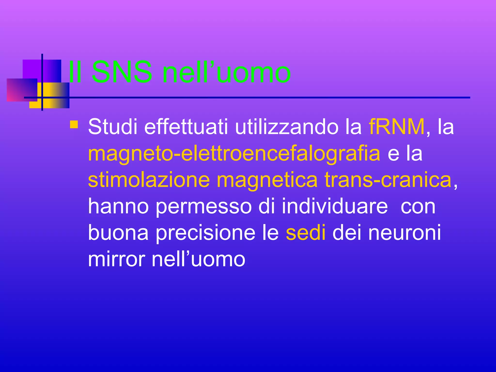 Il SNS nell’uomo


Studi effettuati utilizzando la fRNM, la
magneto-elettroencefalografia e la
stimolazione magnetica trans-cranica,
hanno permesso di individuare con
buona precisione le sedi dei neuroni
mirror nell’uomo

 