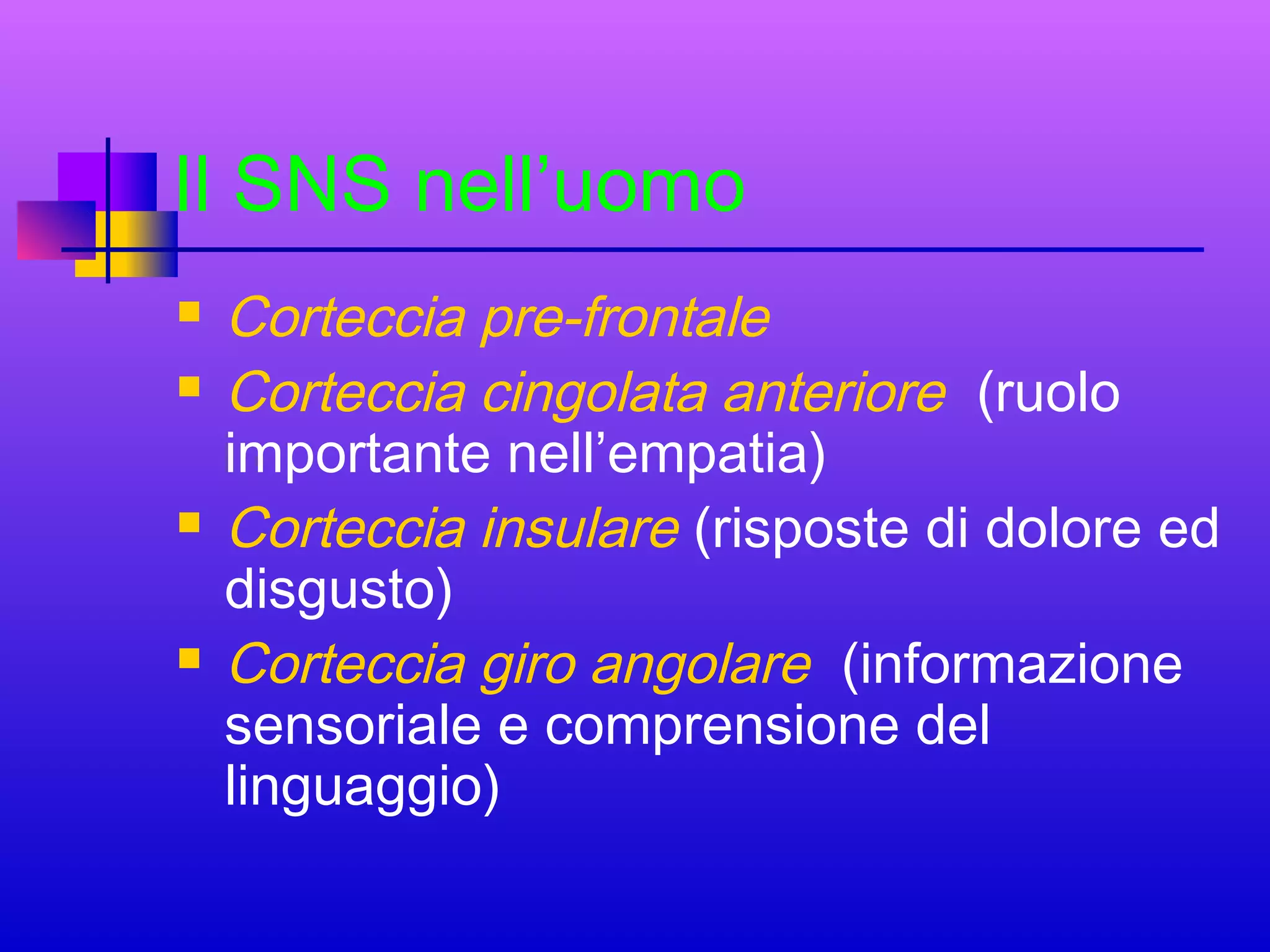 Il SNS nell’uomo







Corteccia pre-frontale
Corteccia cingolata anteriore (ruolo
importante nell’empatia)
Corteccia insulare (risposte di dolore ed
disgusto)
Corteccia giro angolare (informazione
sensoriale e comprensione del
linguaggio)

 