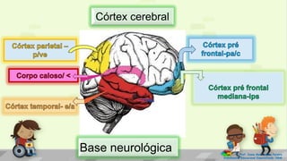 Prof. Diane Marli Lemes Pereira
Atendimento Educacional Especializado /SRM
Córtex cerebral
Base neurológica
 