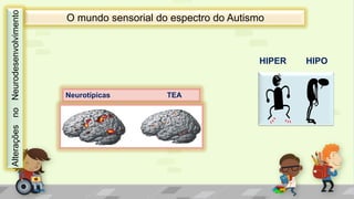 O mundo sensorial do espectro do Autismo
Neurotípicas TEA
HIPER HIPO
AlteraçõesnoNeurodesenvolvimento
 