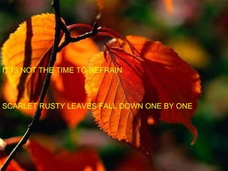 IT IS NOT THE TIME TO REFRAIN  SCARLET RUSTY LEAVES FALL DOWN ONE BY ONE 