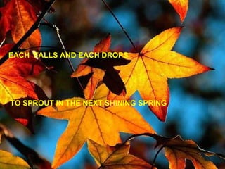 EACH  FALLS AND EACH DROPS TO SPROUT IN THE NEXT SHINING SPRING 