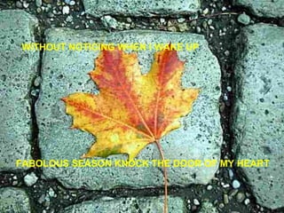WITHOUT NOTICING WHEN I WAKE UP FABOLOUS SEASON KNOCK THE DOOR OF MY HEART 
