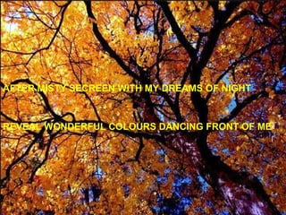 AFTER MISTY SECREEN WITH MY DREAMS OF NIGHT REVEAL WONDERFUL COLOURS DANCING FRONT OF ME 
