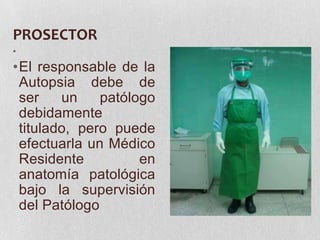 PROSECTOR
•
•El responsable de la
 Autopsia debe de
 ser    un    patólogo
 debidamente
 titulado, pero puede
 efectuarla un Médico
 Residente          en
 anatomía patológica
 bajo la supervisión
 del Patólogo
 