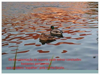 Da documentação de suporte pude extrair conclusões
bastantes pertinente s
que pondero “espalhar” pela minha Escola.
 