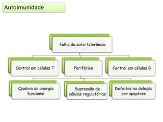 Falha da auto-tolerância
Central em células T Periférica
Quebra da anergia
funcional
Supressão de
células regulatórias
Defeitos na deleção
por apoptose
Central em células B
Autoimunidade
 