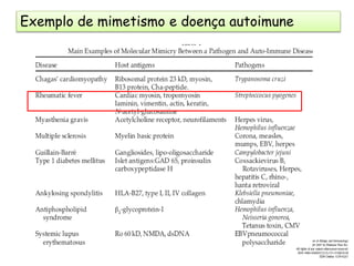 Exemplo de mimetismo e doença autoimune
 
