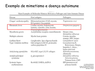 Exemplo de mimetismo e doença autoimune 
