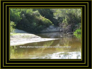 Muita ofensa registrada é peso inútil ao coração.

 