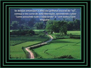 Se desejas emancipar a alma das grilhetas escuras do “eu”,
começa o teu curso de auto-libertação, aprendendo a viver
“como possuindo tudo e nada tendo” e “com todos e sem
ninguém”.

 