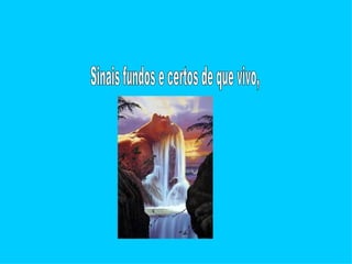 Sinais fundos e certos de que vivo, 