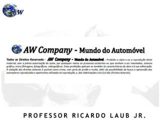 P R O F E S S O R R I C A R D O L A U B J R .
 