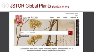 JSTOR Global Plants plants.jstor.org
 