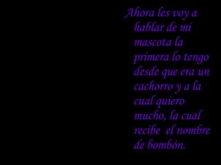 Ahora les voy a hablar de mi mascota la primera lo tengo desde que era un cachorro y a la cual quiero mucho, la cual recibe  el nombre de bombón.  