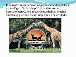  Resalto de mi primaria un viaje que recuerdo que fue a
 un zoológico “Safari chapín”, al cual fui con mi
 hermano Juan Carlos, recuerdo que habían muchos
 animales y piscinas, fue un viaje que no he olvidado.
 