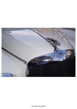 Auto1001_160 s40.JPG
 