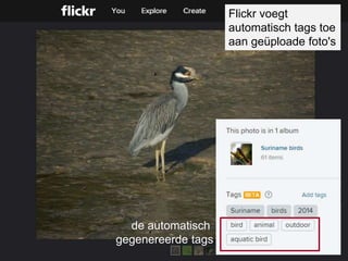 de automatisch
gegenereerde tags
Flickr voegt
automatisch tags toe
aan geüploade foto's
 