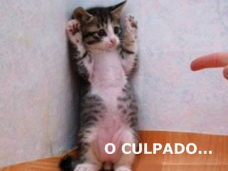 O CULPADO... 
 