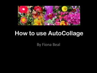 How to use AutoCollage
       By Fiona Beal
 