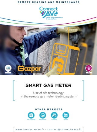 Smart Gaz meter