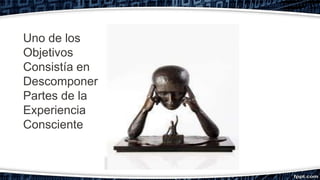 Uno de los
Objetivos
Consistía en
Descomponer
Partes de la
Experiencia
Consciente
 