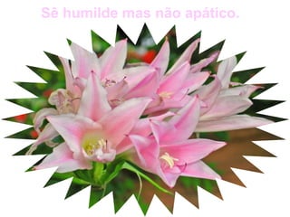 Sê humilde mas não apático.
 