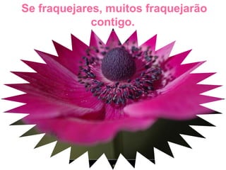 Se fraquejares, muitos fraquejarão
contigo.
 