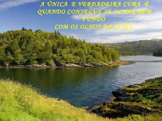 A ÚNICA  E VERDADEIRA CURA  É QUANDO CONSEGUE SE OLHAR BEM FUNDO  COM OS OLHOS DA ALMA. 