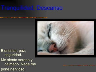 Tranquilidad, Descanso Bienestar, paz, seguridad. Me siento sereno y calmado. Nada me pone nervioso. 