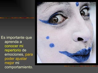 Es importante que aprenda a  conocer mi repertorio  de emociones,  para poder ajustar mejor  mi comportamiento. 