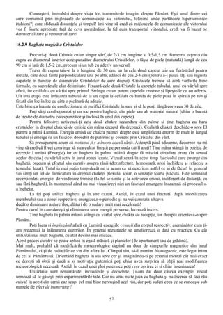 Cunoaşte-i, întreabă-i despre viaţa lor, transmite-le imagini despre Pământ, Eşti unul dintre cei
care comunică prin mijloacele de comunicaţie ale viitorului, folosind unde purtătoare hiperluminice
(tahioni?) care sfidează distanţele şi timpul! îmi vine să cred că mijloacele de comunicaţie ale viitorului
vor fi foarte apropiate faţă de ceva asemănător, la fel cum transportul viitorului, cred, va fi bazat pe
dematerializare şi rematerializare!

16.2.9 Bagheta magică a Cristalelor

        Procură-ţi două Cristale cu un singur vârf, de 2-3 cm lungime si 0,5-1,5 cm diametru, o ţeava din
cupru cu diametrul interior corespunzător diametrului Cristalelor, o fâşie de piele (naturală) lungă de cea
90 cm şi lată de 1,5-2 cm, precum şi un tub cu adeziv universal.
        Ţeava de cupru taie-o la o lungime de 30 cm, iar la cele două capete taie cu fierăstrăul pentru
metale, câte două fante perpendiculare una pe alta, adânci de cea 2-3 cm (pentru a-i putea lăţi sau îngusta
capetele în funcţie de diametrele Cristalelor de care dispui). Cristalele trebuie să aibă vârfurile bine
formale, cu suprafeţele clar delimitate. Fixează cele două Cristale la capetele tubului, unul cu vârful spre
afară, iar celălalt - cu vârful spre primul. Strânge cu un patent capelele crestate şi lipeşte-le cu un adeziv.
Ult ima etapă este înfăşarea tubului de la un capăt la celălalt cu banda de piele pusă în spirală pe tub şi
fixată din loc în loc cu câte o picătură de adeziv.
Este bine ca înainte de confecţionare să purifici Cristalele în sare şi să le porţi lângă corp cea 30 de zile.
        Poţi sâ-ţi confecţionezi şi un toc pentru baghetă, din piele sau alt material natural (chiar o bucată
de trestie de diametru corespunzător şi închisă Ia unul din capete).
        Pentru folosire: activează-ţi cele două chakre secundare din palme şi ţine bagheta cu baza
cristalelor în dreptul chakrei de emisie din mâna dreaptă (la dreptaci). Cealaltă chakră deschide-o spre El
pentru a primi Lumină. Energia emisă de chakra palmei drepte este amplificată enorm de mult în lungul
tubului şi emeige ca un fascicol deosebit de puternic şi coerent prin Cristalul din vârf.
        Să presupunem acum că motanul ţi s-a întors acasă rănit. Aşteaptă până adoarme, deoarece nu-mi
vine să cred că îl vei convinge să stea culcat liniştit pe perioada cât îl ajuţi! Ţine mâna stângă în poziţia de
recepţie Lumină (Energie) iar cu bagheta în palma mâinii drepte fă mişcări circulare orare (în sensul
acelor de ceas) cu vârful activ în jurul zonei lezate. Vizualizează în acest timp fascicolul care emerge din
baghetă, precum şi efectul său curativ asupra rănii (dezinfectare, hemostază, apoi închidere şi refacere a
ţesutului lezat). Totul ia mai puţin timp decât ne ia acum ca să descriem astfel ce ai de făcut! în general
vei simţi un fel de furnicătură în dreptul chakrei plexului solar, o senzaţie foarte plăcută. Este semnalul
recepţionării energiei de vindecare trimise (Ia fel se simte şi la activarea oricui, indiferent de distanţă, cu
sau fără baghetă), în momentul când nu mai vizualizezi nici un fascicol emergent înseamnă că procesul s-
a încheiat.
        La fel poţi utiliza bagheta şi în alte cazuri. Astfel, în cazul unei fracturi, după imobilizarea
membrului sau a zonei respective, energizeaz-o periodic şi nu vei constata altceva
decât o diminuare a durerilor, alături de o sudare mult mai accelerată!
Pentru cazul în care doreşti şi eliminarea unor energii perverse, lucrează invers.
        Ţine bagheta în palma mâinii stângi cu vârful spre chakra de recepţie, iar dreapta orienteaz-o spre
Pământ.
        Poţi lucra şi împingând afară cu Lumină energiile cenuşii din corpul respectiv, asemănător cum ţi-
am prezentai la înlăturarea durerilor. În general rezultatele se ameliorează o dată cu practica. Cu cât
utilizezi mai mult bagheta, cu atât devine mai eficace.
Acest proces curativ se poate aplica în egală măsură şi plantelor (de apartament sau de grădină).
Mai mult, probabil că modificările meteorologice depind nu doar de câmpurile magnetice din jurul
Pământului, ci şi de radiaţiile ce vin din afara lui. Câmpul tău, să-1 numim biomagnetic, este legat intim
de cel al Pământului. Orientând bagheta în sus spre cer şi imaginându-ţi pe ecranul mental cât mai exact
ce doreşti să obţii şi dacă ai o motivaţie puternică poţi chiar avea surpriza să obţii real modificarea
meteorologică necesară. Astfel, în cazul unei ploi puternice poţi cere oprirea ei şi chiar înseninarea!
        Utilizările sunt nenumărate, incredibile şi deosebite, Ţi-am dat doar câteva exemple, restul
urmează să Ie găseşti prin experimentările tale. Dar nu uita; nu te juca cu bagheta şi nu încerca să faci rău
cuiva! în acest din urmă caz scapi cel mai bine nereuşind acel rău, dar poţi suferi ceea ce se cunoaşte sub
numele de efect de bumerang !

                                                      57
 