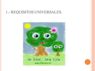 1.- REQUISITOS UNIVERSALES.