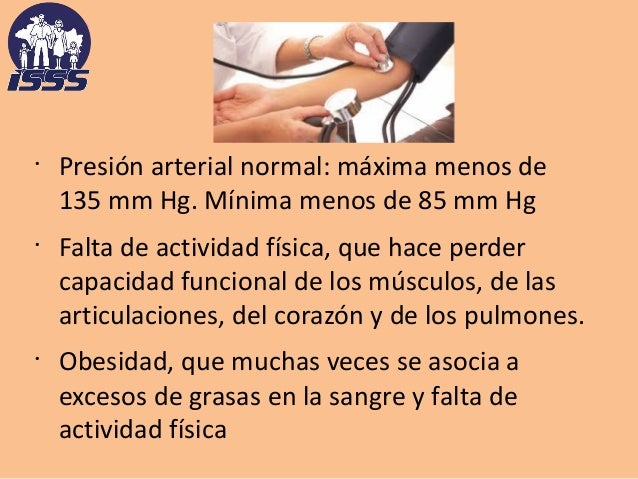 Como componer el programa para el adelgazamiento en el gimnasio