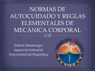 Esthela Montenegro
Ingeniería Industrial
Universidad del Magdalnea
 