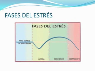 FASES DEL ESTRÉS
 