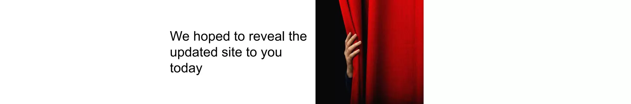 We hoped to reveal the
updated site to you
today
 