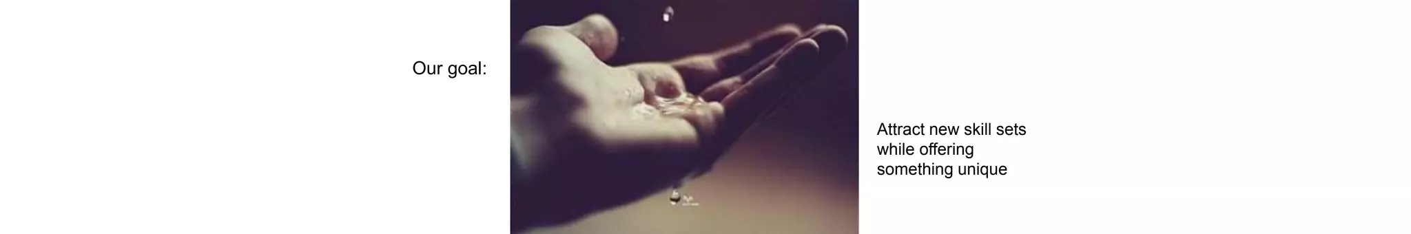 Attract new skill sets
while offering
something unique
Our goal:
 