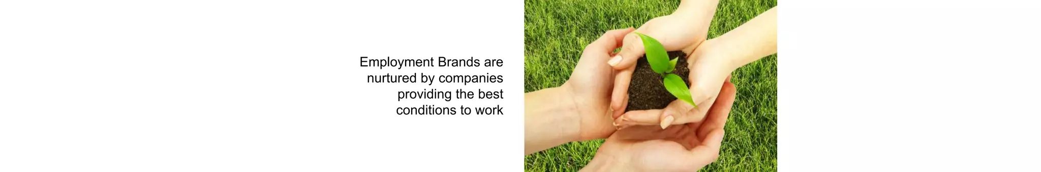 Employment Brands are
nurtured by companies
providing the best
conditions to work
 