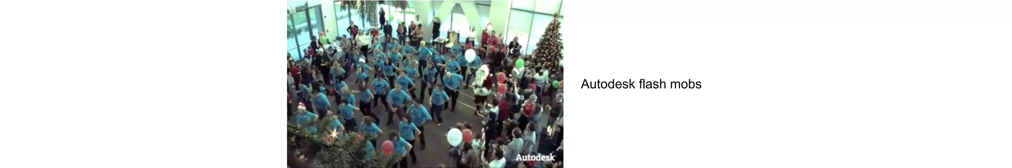 Autodesk flash mobs
 