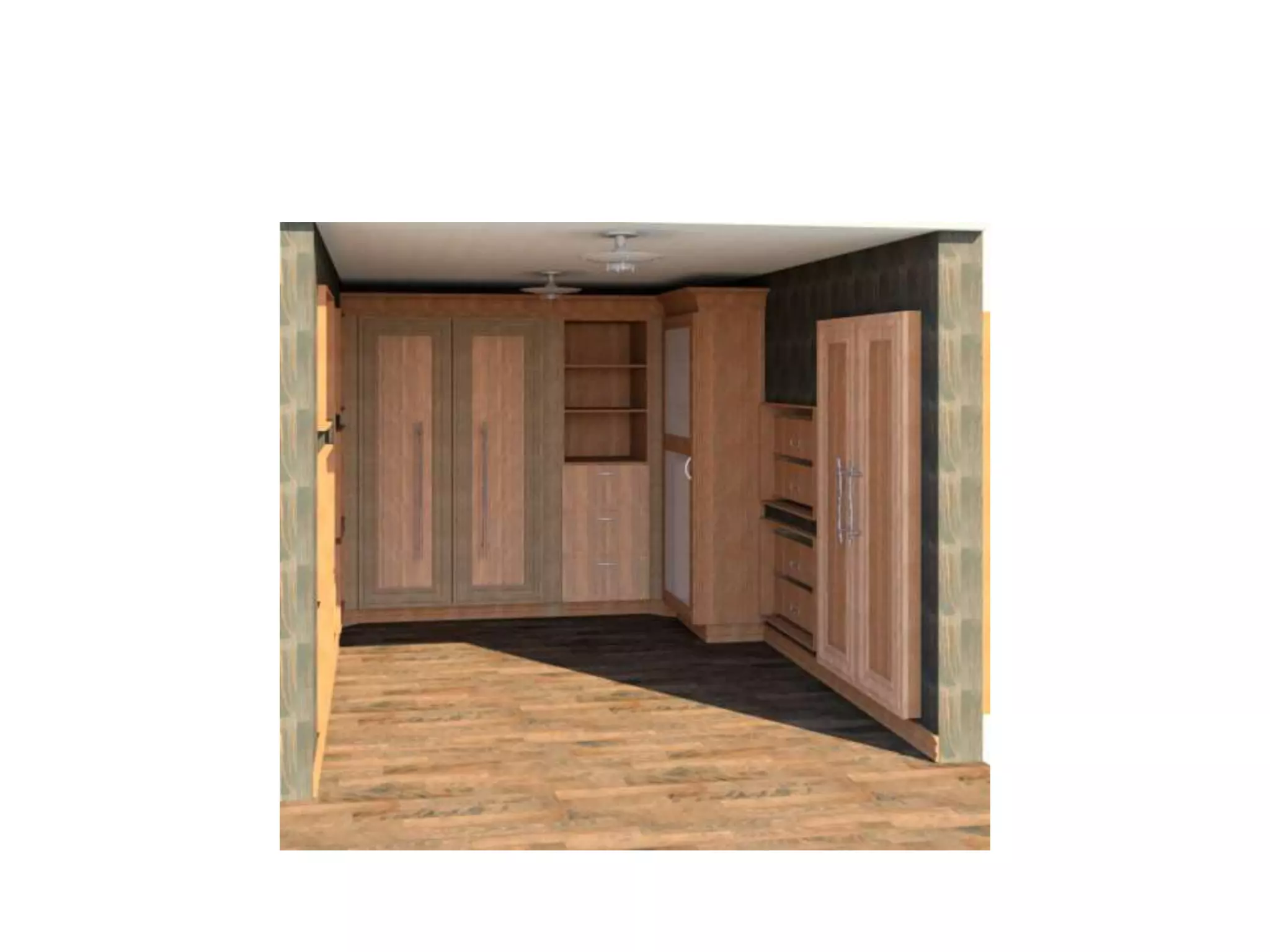 Autodesk revit design(walking closet 2016)