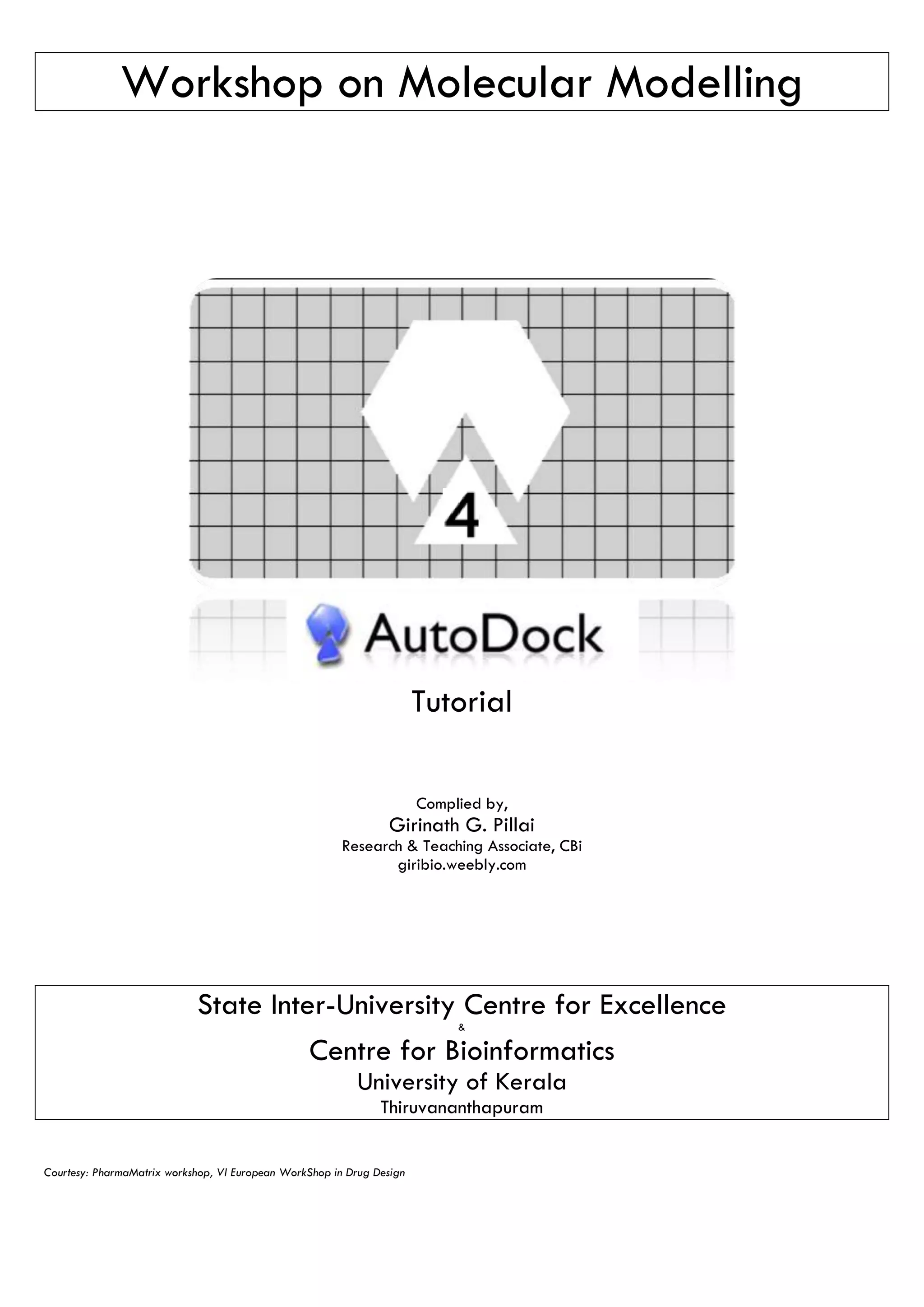 Autodock Made Easy with MGL Tools - Molecular Docking | PDF