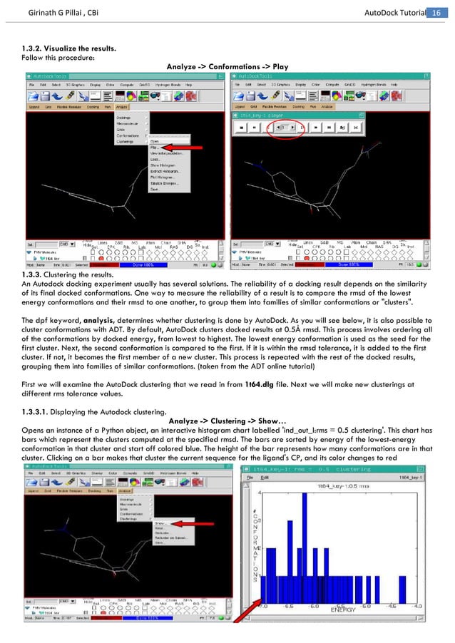 Autodock Made Easy with MGL Tools Molecular Docking PDF