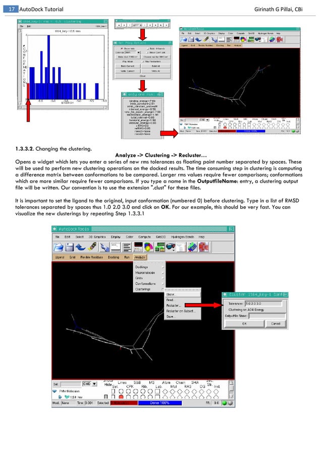 Autodock Made Easy with MGL Tools Molecular Docking PDF