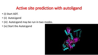 Active site prediction with autoligand
• (i) Start ADT.
• (ii) AutoLigand
• (iii) AutoLigand may be run in two modes.
• (iv) Start the AutoLigand
 