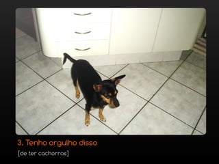 3. Tenho orgulho disso
[de ter cachorros]
 