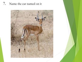 7. Name the car named on it
 