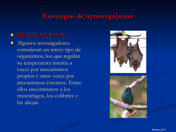 Reasearch en dieta cetogénica epilepsia