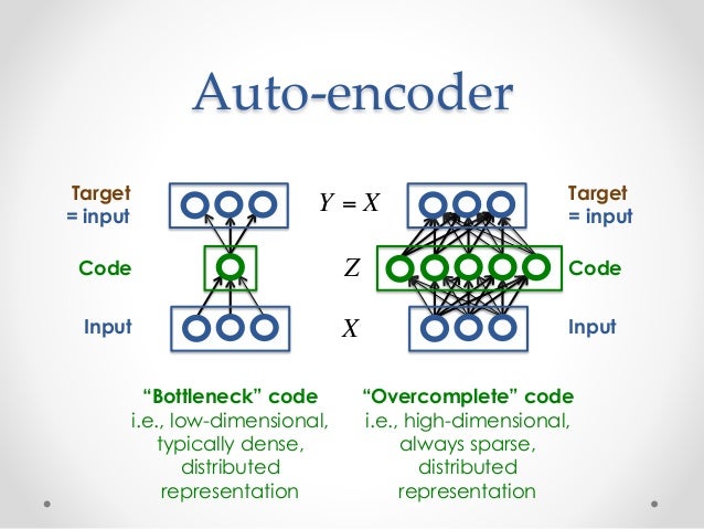 Introduction to Autoencoders